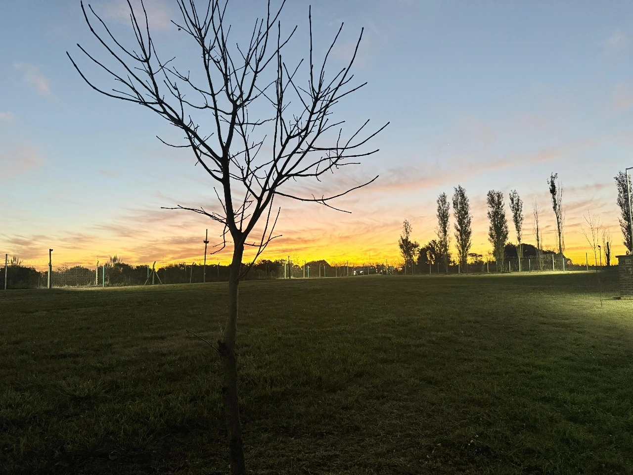 Lote en venta Barrio Cerrado Los Juncos - Imagen 4