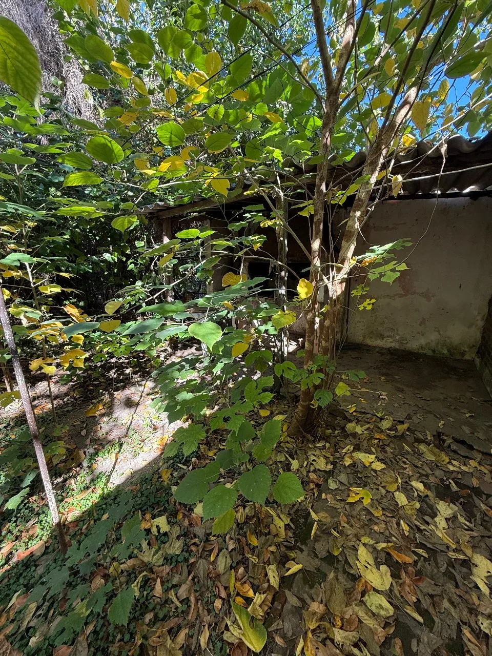 Venta casa en Barrio San Emilio, La perdiz Nº 838 Luján, Buenos Aires - Imagen 6
